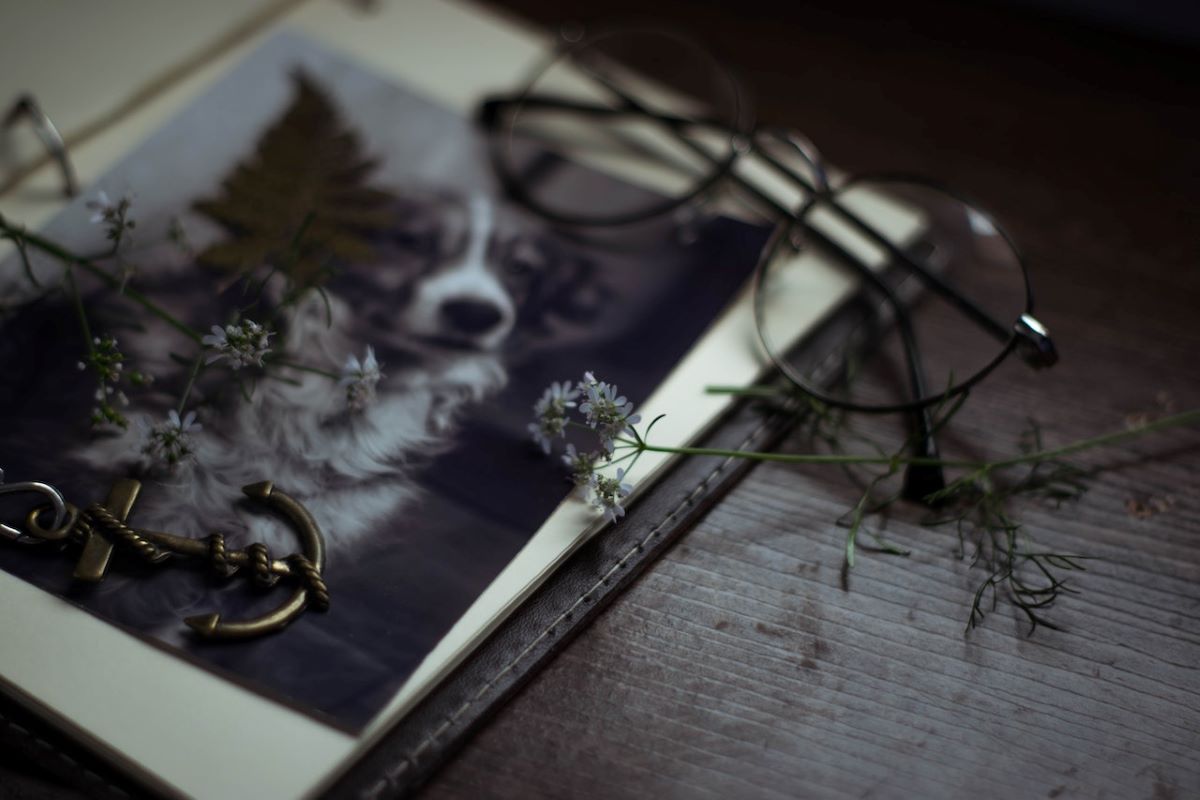 photo album with picture of dog remembering our beloved pets